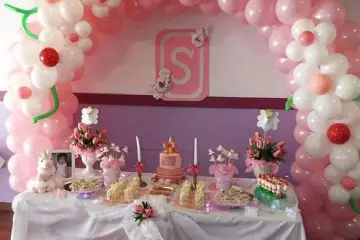 برگزار کننده جشن روز دختر