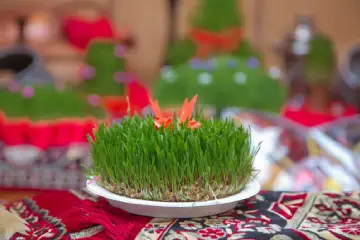 برگزار کننده جشن نوروز خانوادگی